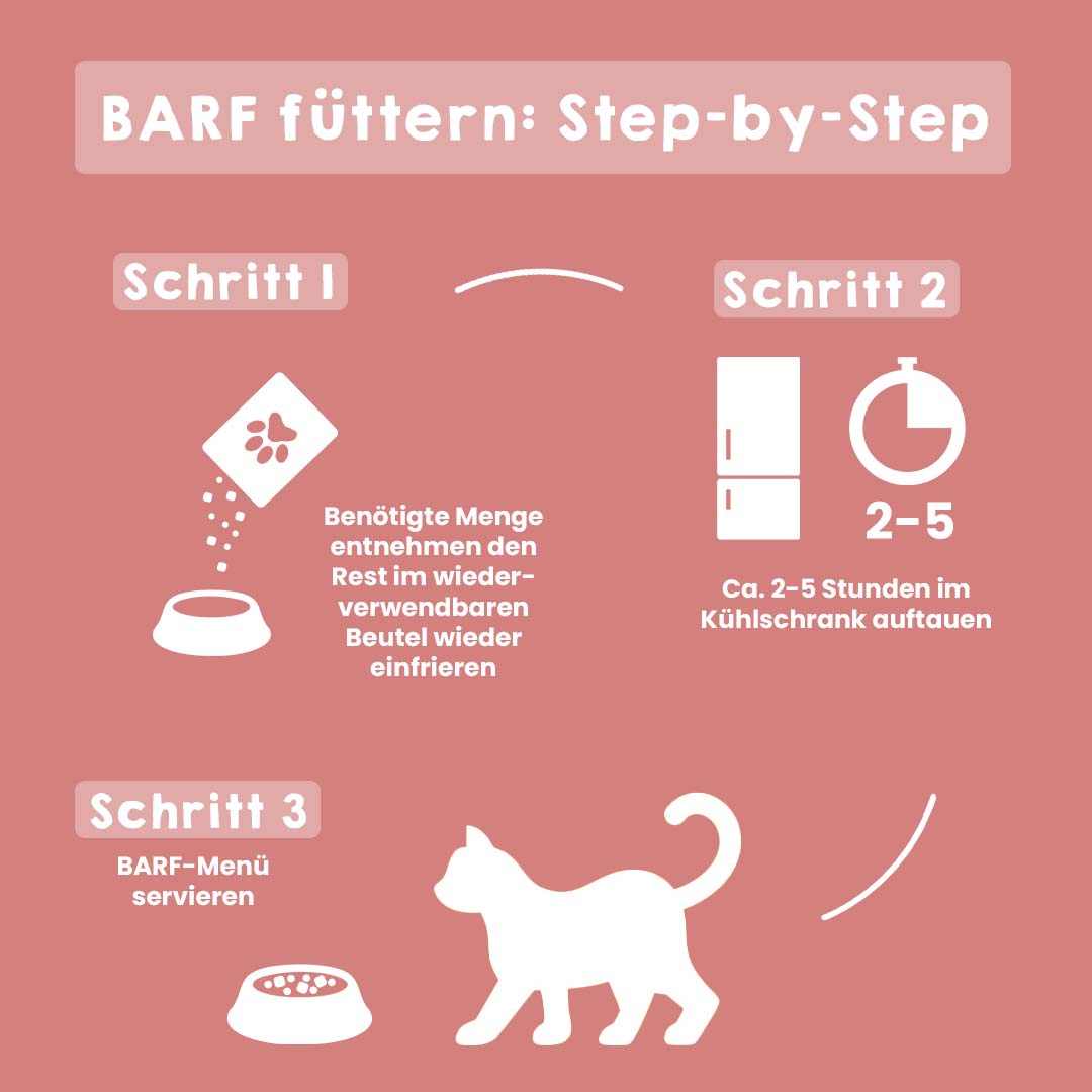 Vorschaubild 7