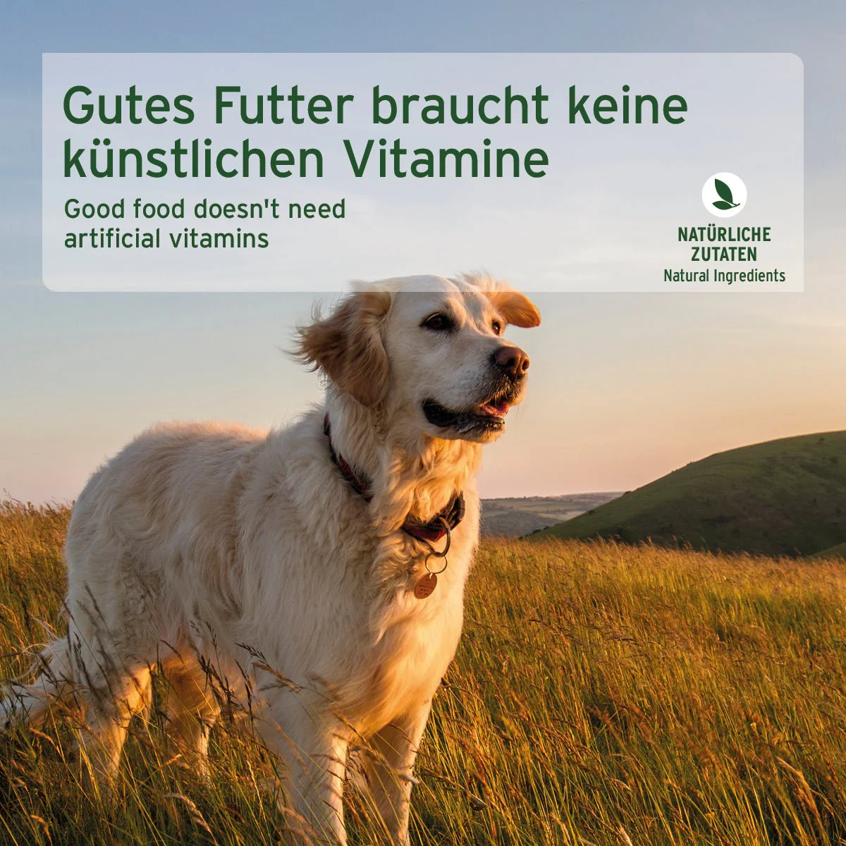 Vorschaubild 6