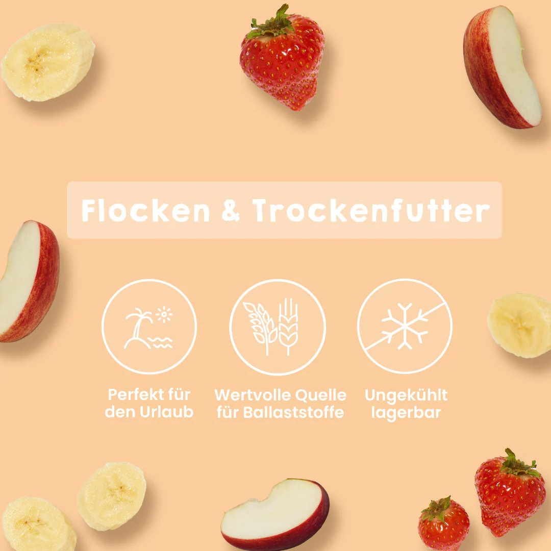 Vorschaubild 4