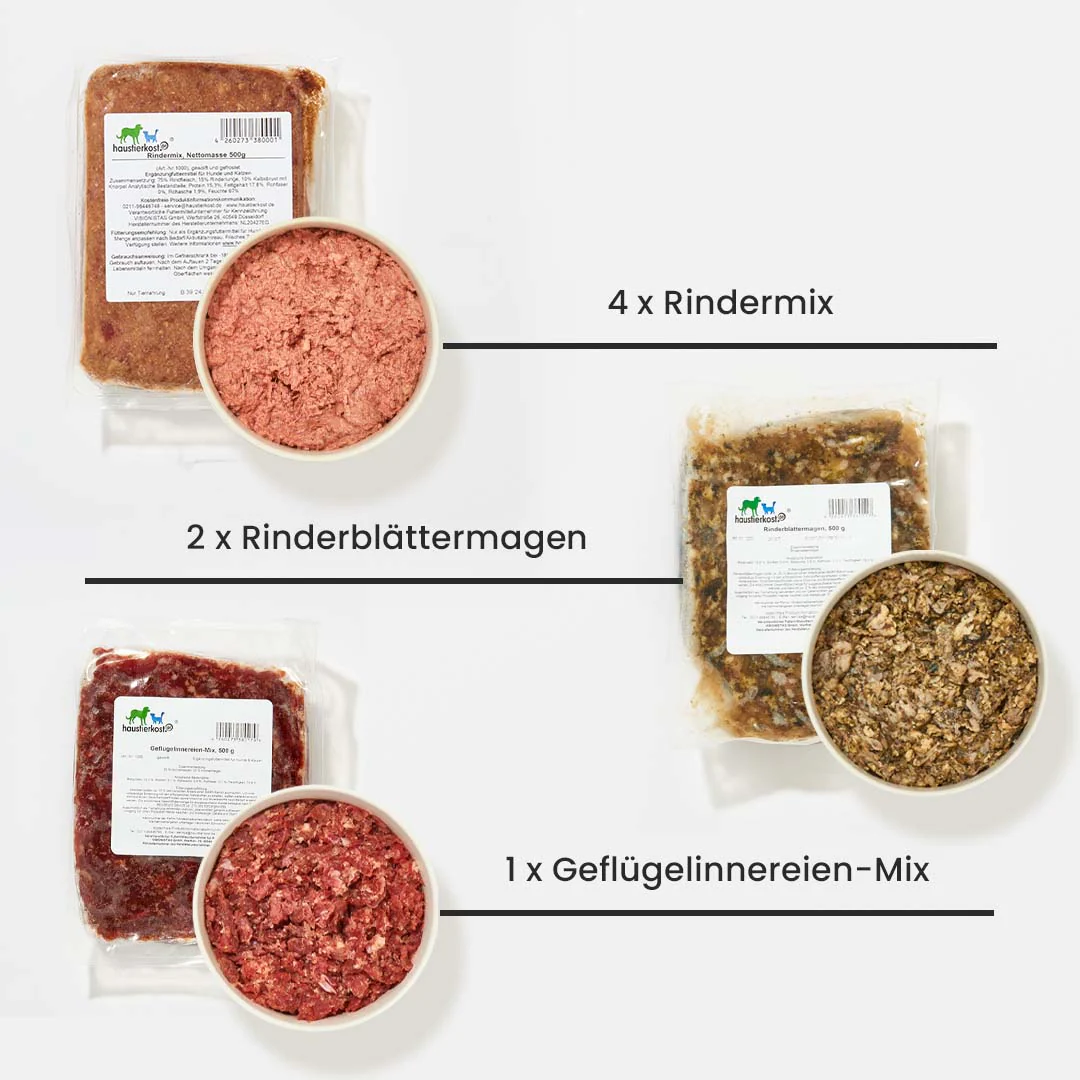 Vorschaubild 3