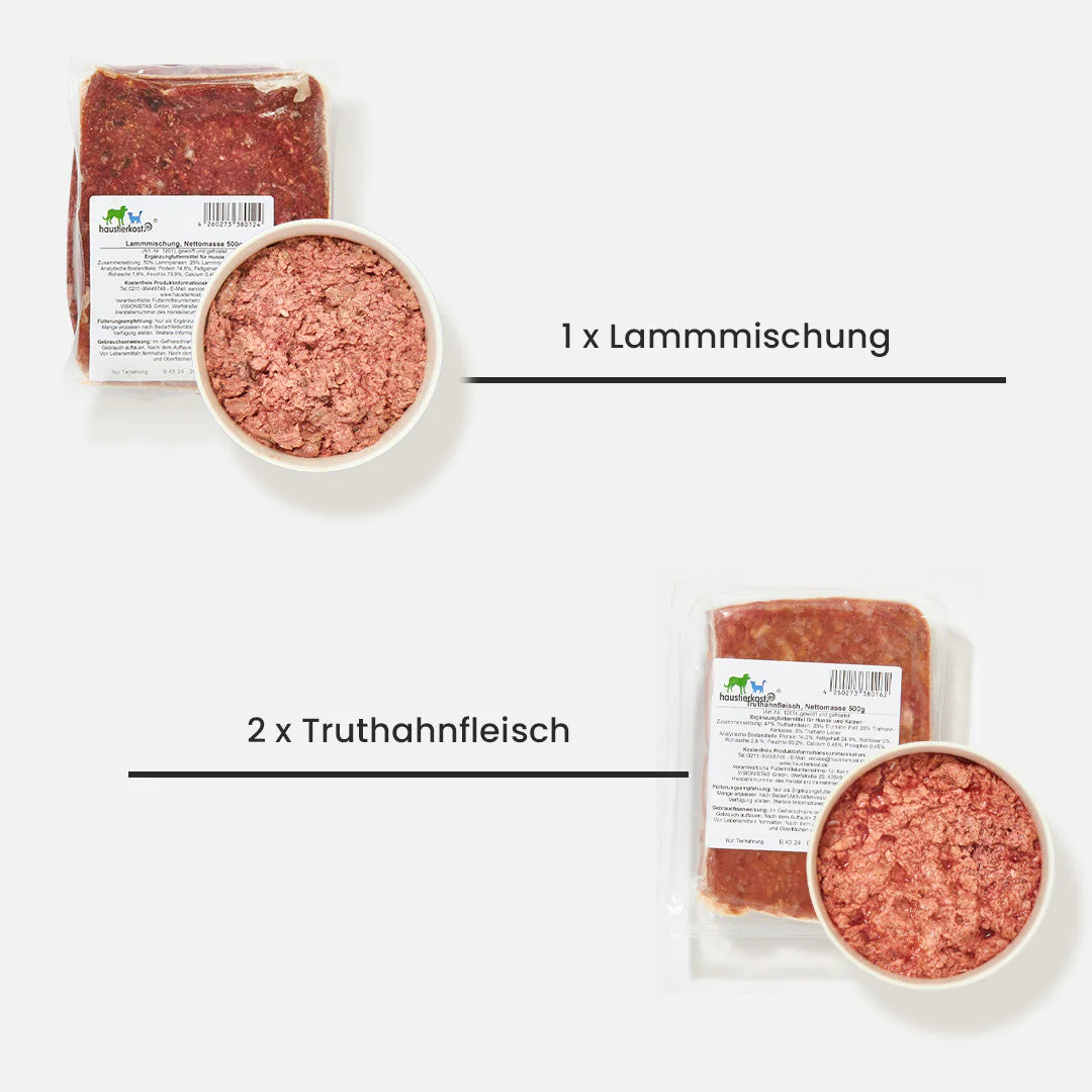 Vorschaubild 5