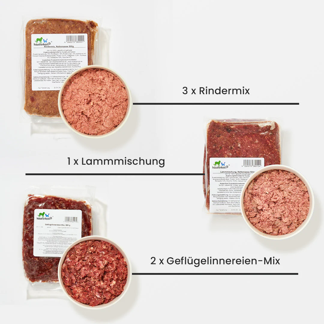Vorschaubild 3