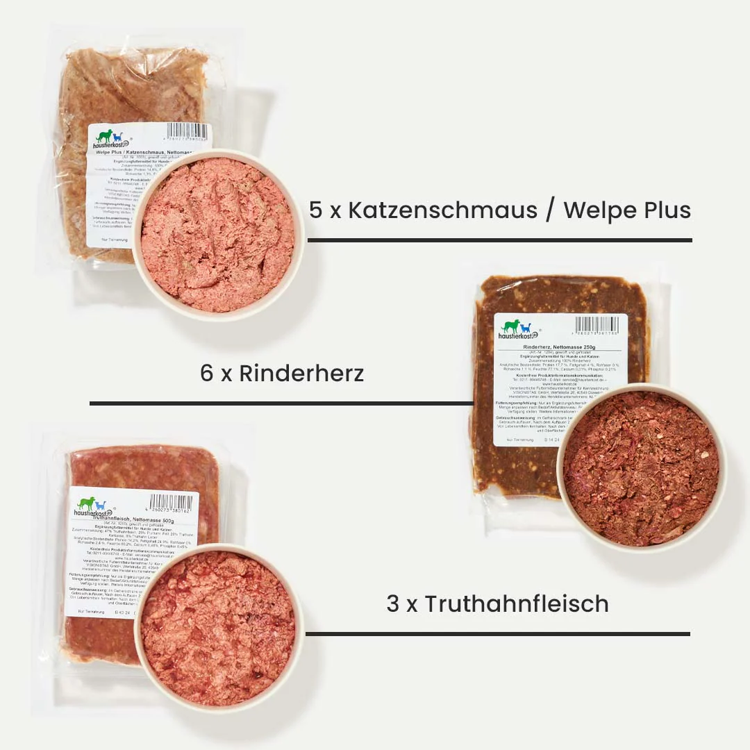 Vorschaubild 2