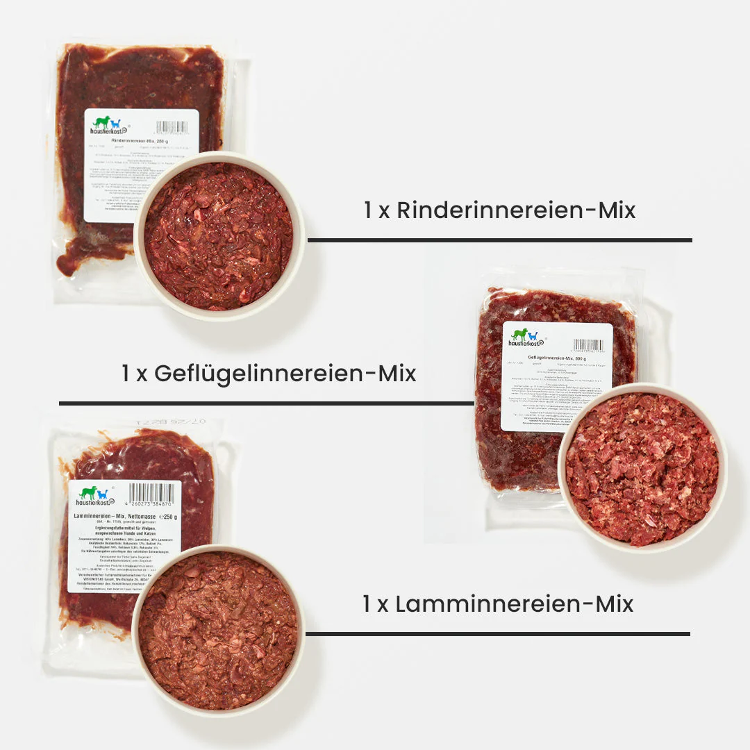 Vorschaubild 4