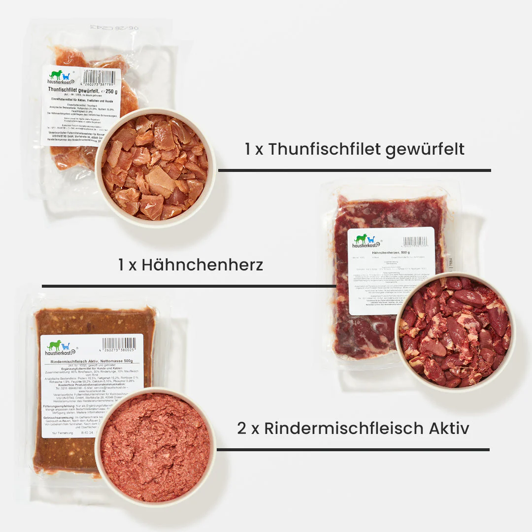 Vorschaubild 4
