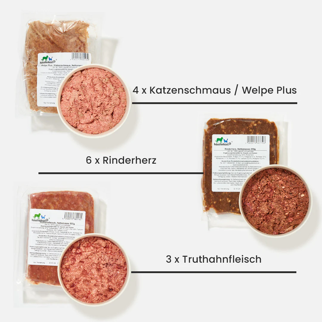 Vorschaubild 3