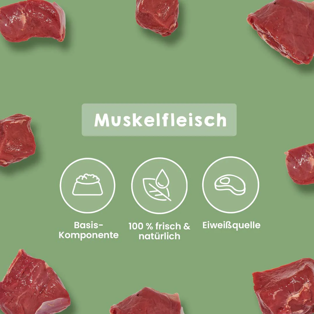 Vorschaubild 5