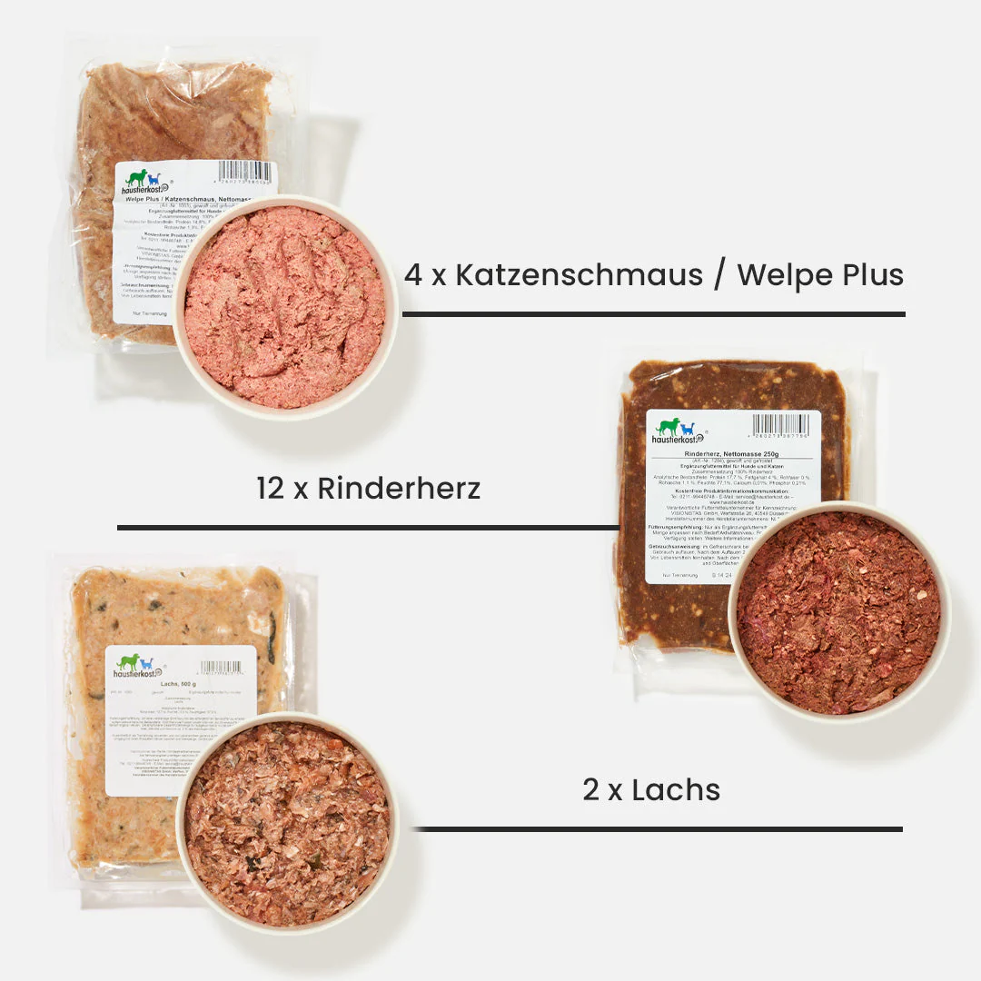Vorschaubild 2
