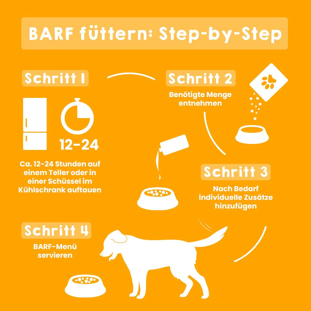 Vorschaubild 8