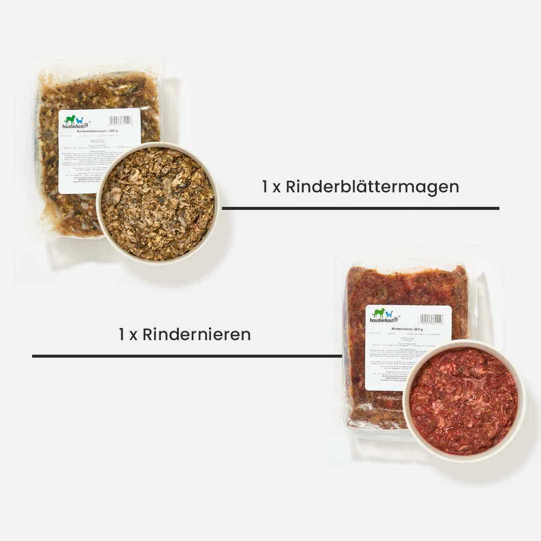 Vorschaubild 5