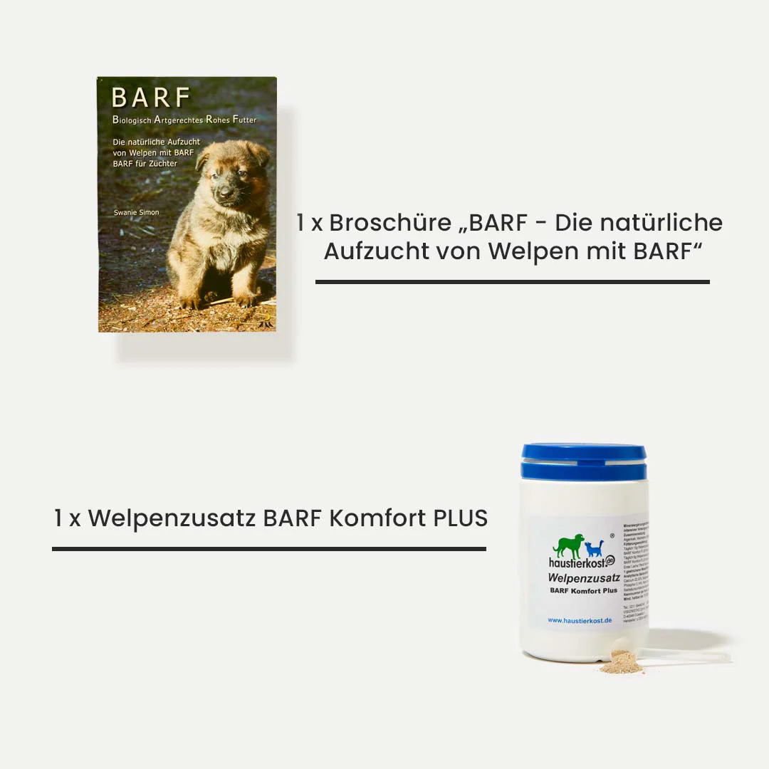Vorschaubild 5