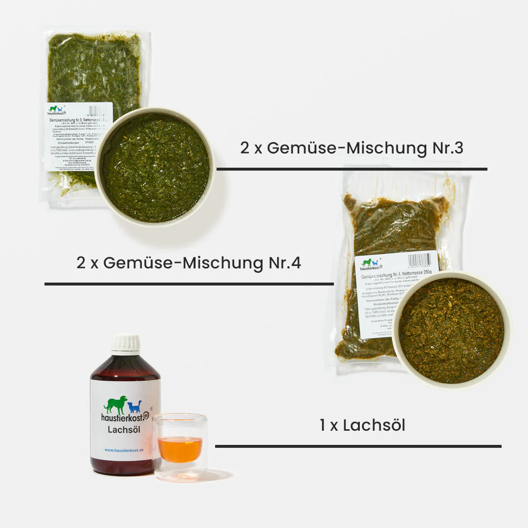 Vorschaubild 4
